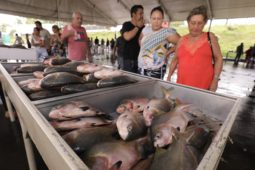 Feirão do Pescado comercializou 163 1 toneladas de peixes que