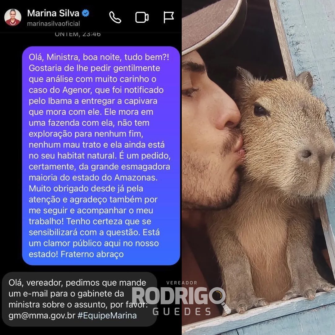 Caso Da Capivara Fil E A Multa Do Ibama Am Chegam Ministra Marina