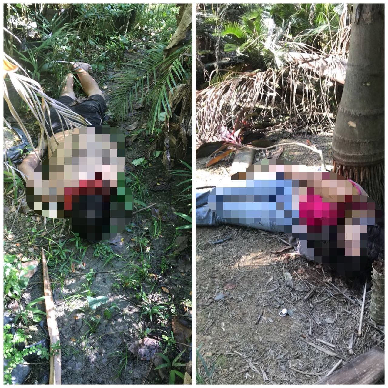 Casal foi morto no Parque das Laranjeiras Casal foi morto no Parque das Laranjeiras