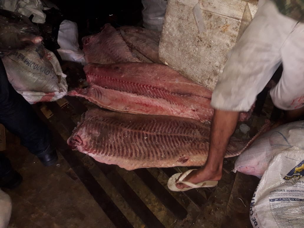 10t de pescado ilegal e madeira irregular são apreendidas no porto do São Raimundo 10t de pescado ilegal e madeira irregular são apreendidas no porto do São Raimundo