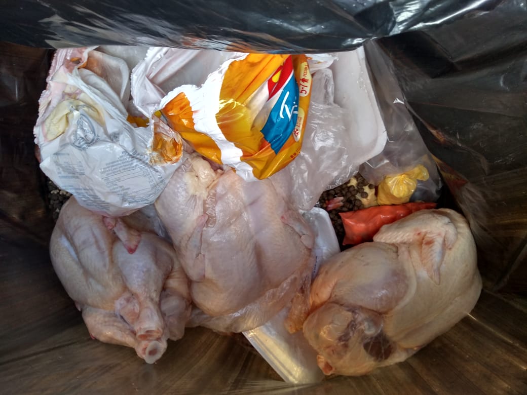 alimentos impróprios Itacoatiara Procon alimentos impróprios Itacoatiara Procon