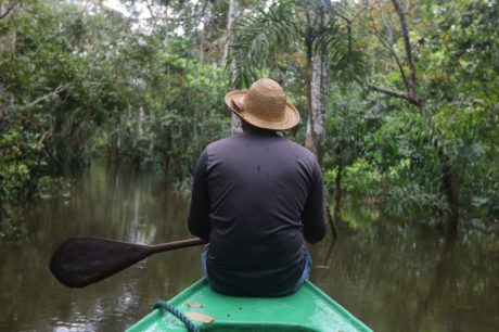Lago Janauari pode se transformar em refúgio ecológico de turismo Lago Janauari pode se transformar em refúgio ecológico de turismo