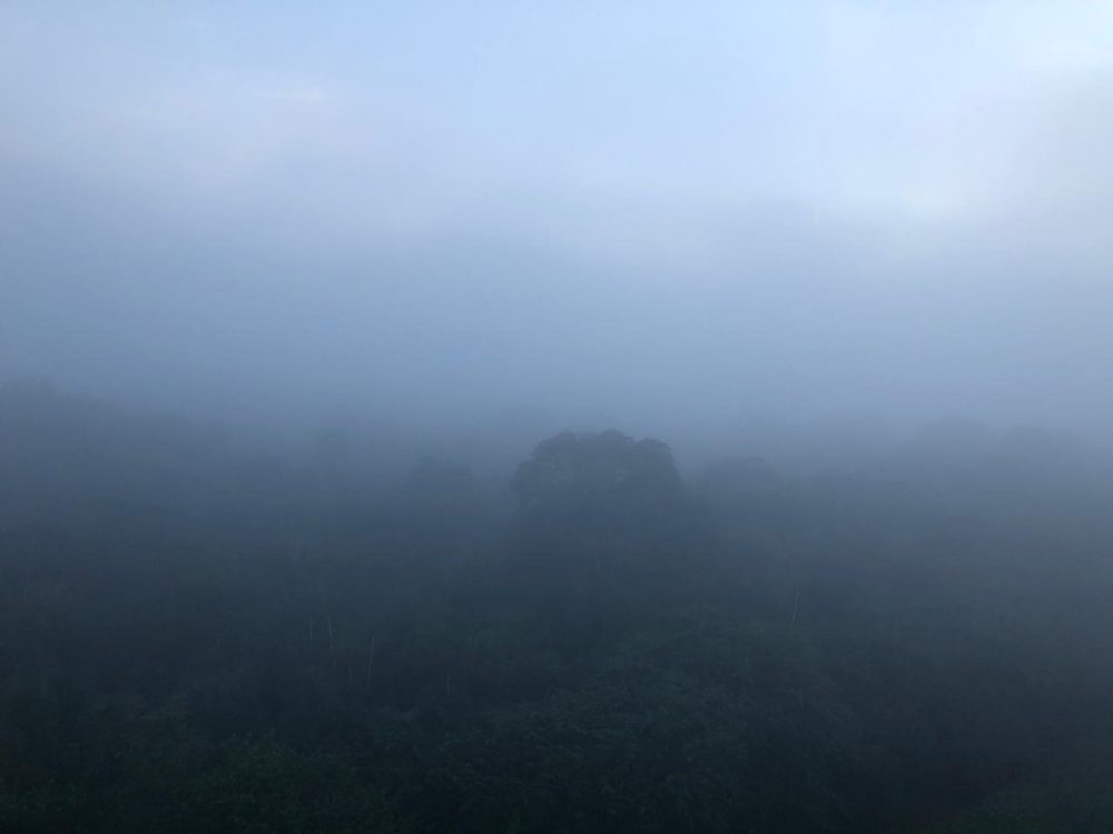 Aeroporto de Manaus fecha por 2h devido a neblina Aeroporto de Manaus fecha por 2h devido a neblina