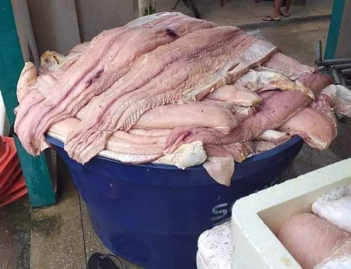 PM apreende 91 mantas de pirarucu fresco irregular em Tef&eacute;