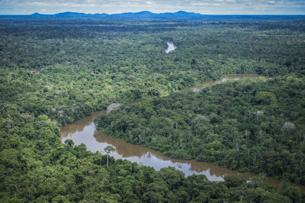 Fundo Amazônia Fundo Amazônia
