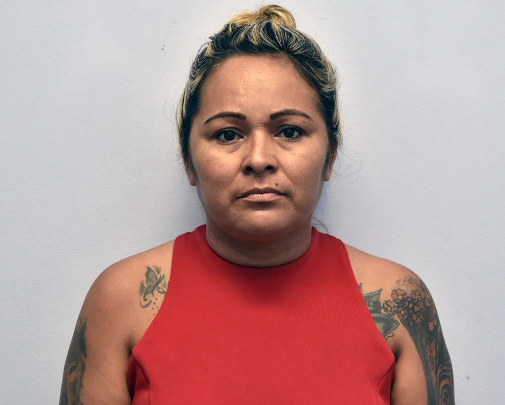 Acusada de comandar milícia em invasão na AM-010, mulher é presa Acusada de comandar milícia em invasão na AM-010, mulher é presa