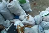 MACABRO Cabeça humana é encontrada em lixeira na zona Oeste