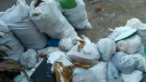MACABRO Cabeça humana é encontrada em lixeira na zona Oeste