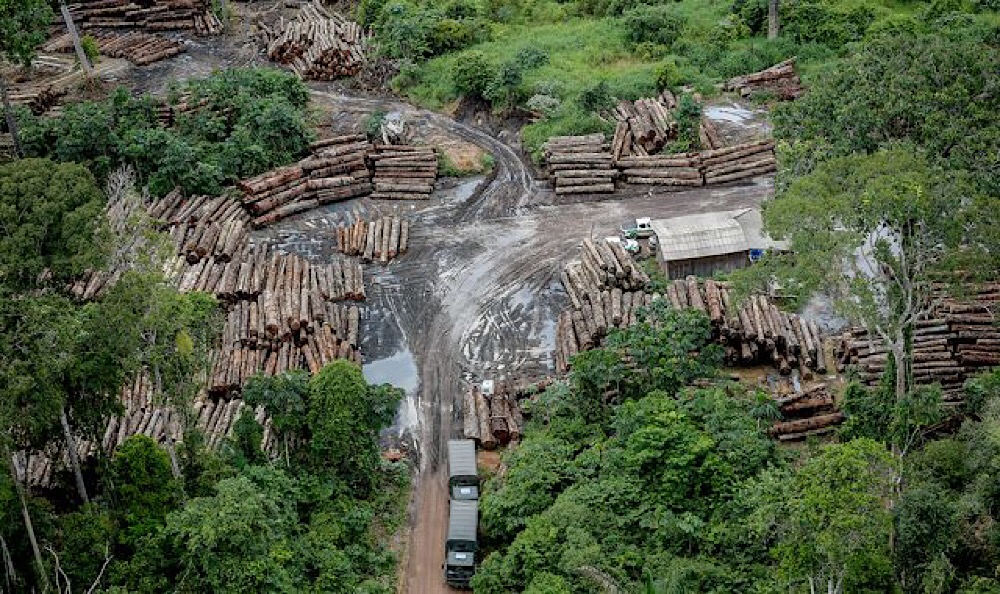 Fundo Amaz&ocirc;nia 