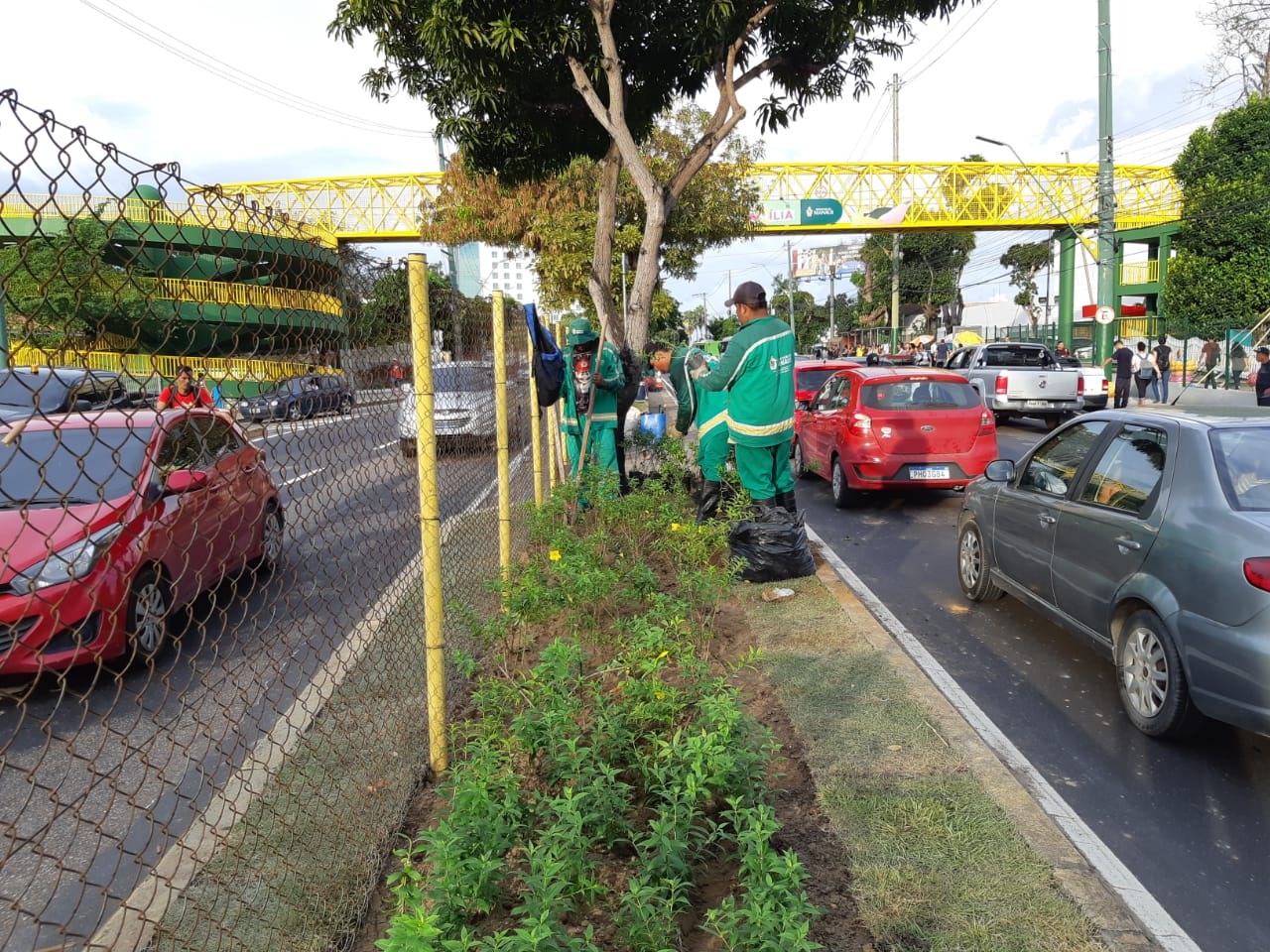 Comissão de Paisagismo e Urbanismo inicia intervenções nos corredores viários da cidade Comissão de Paisagismo e Urbanismo inicia intervenções nos corredores viários da cidade