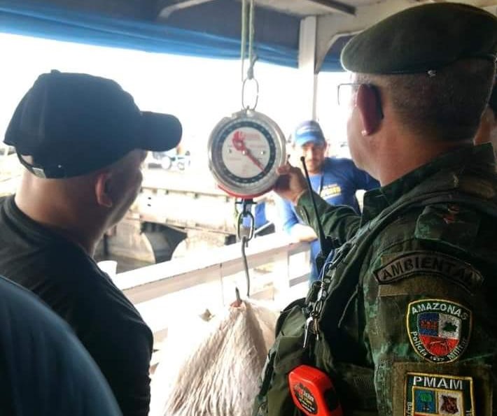 840kg de pescado ilegal são apreendidos em navio motor no Centro 840kg de pescado ilegal são apreendidos em navio motor no Centro