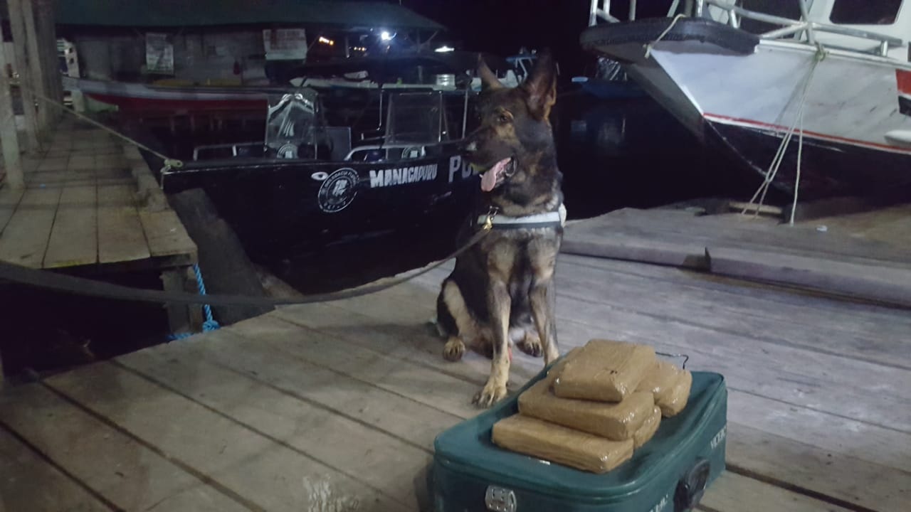 C&Atilde;O ODIN FAREJA Receita Federal e PC apreendem 6kg de maconha no porto