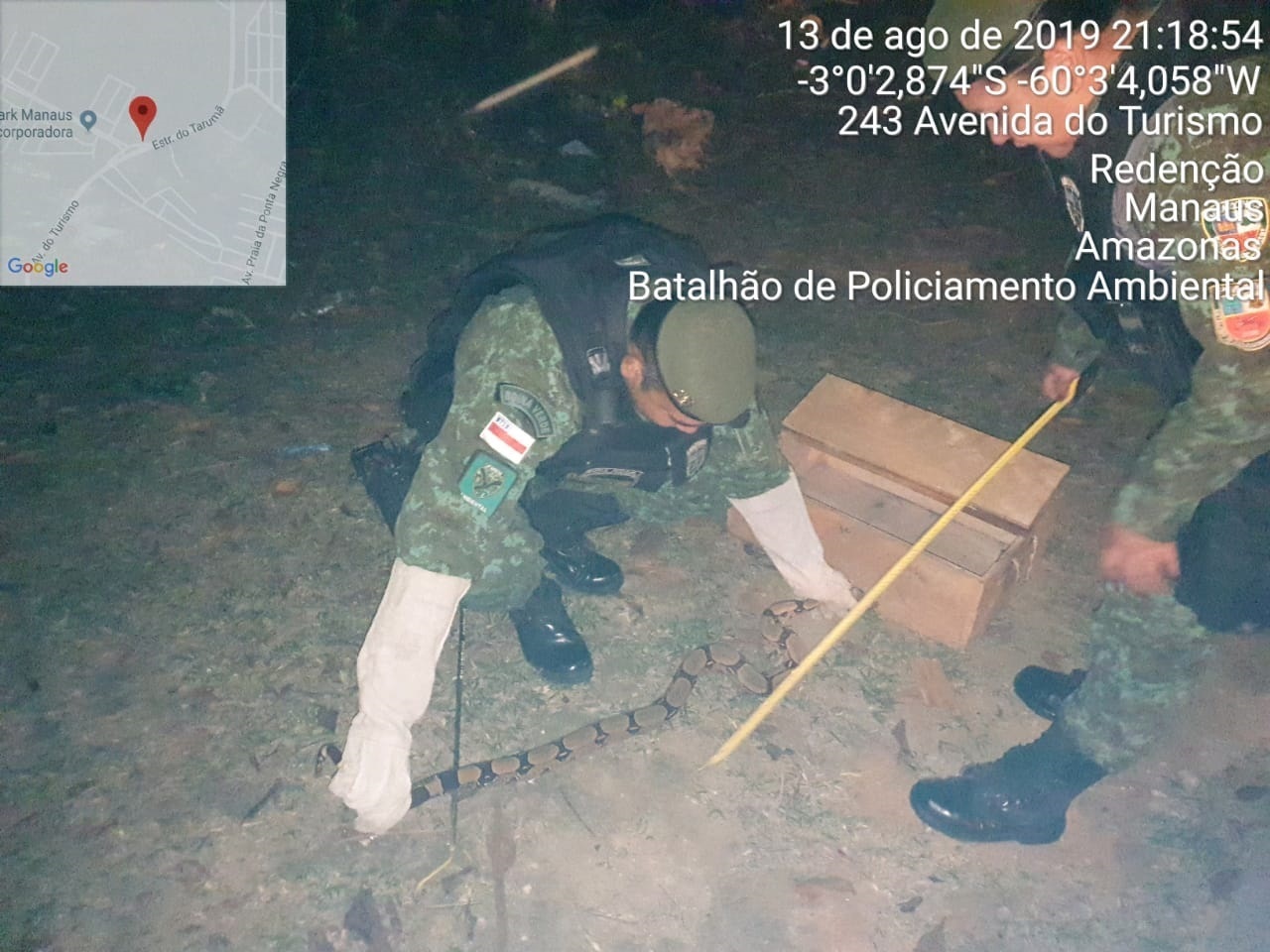Jiboia de 1,3m é resgatada em quintal no Jorge Teixeira Jiboia de 1,3m é resgatada em quintal no Jorge Teixeira