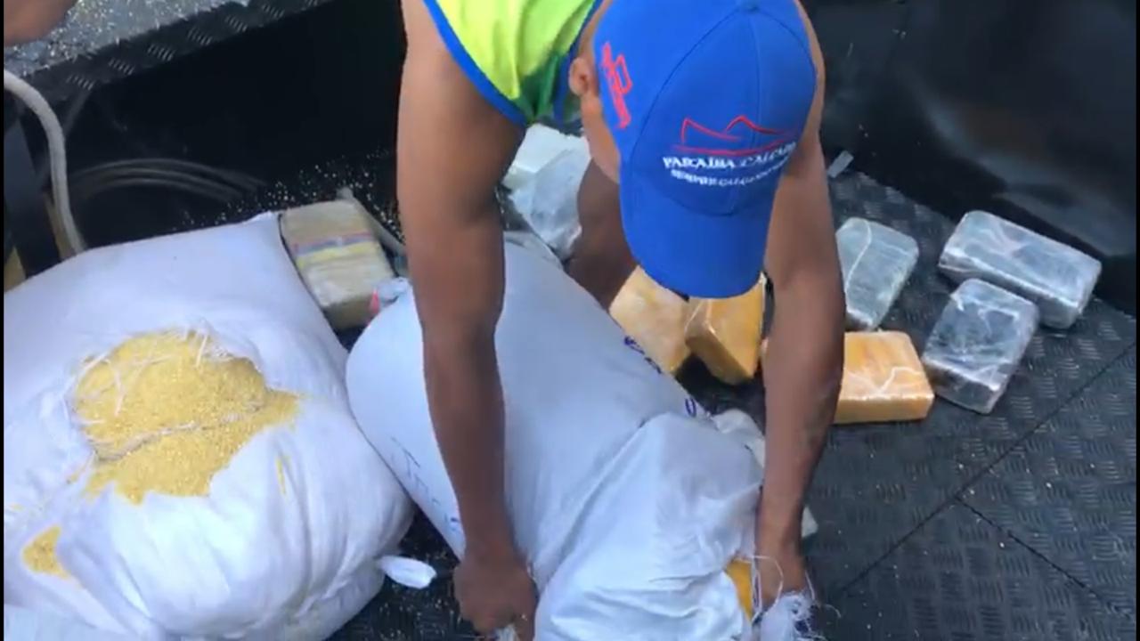 Cães farejadores encontram 37kg de maconha em sacas de farinha e mala Cães farejadores encontram 37kg de maconha em sacas de farinha e mala