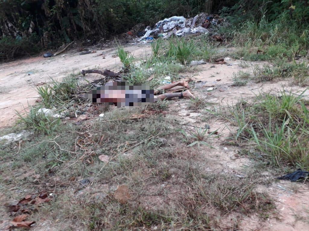 Detento com tornozeleira é encontrado morto em ramal no Gilberto Mestrinho Detento com tornozeleira é encontrado morto em ramal no Gilberto Mestrinho
