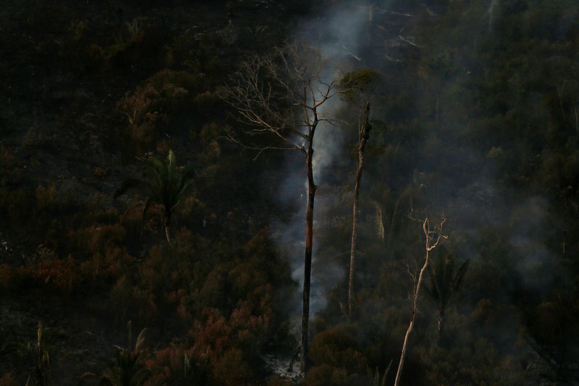 Procuradoria e AGU anunciam acordo de R$ 1 bi para Amaz&ocirc;nia