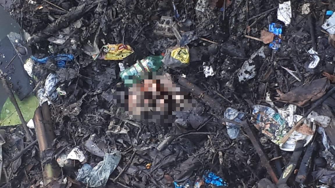 Cr&acirc;nio humano &eacute; encontrado por moradores no Tiradentes