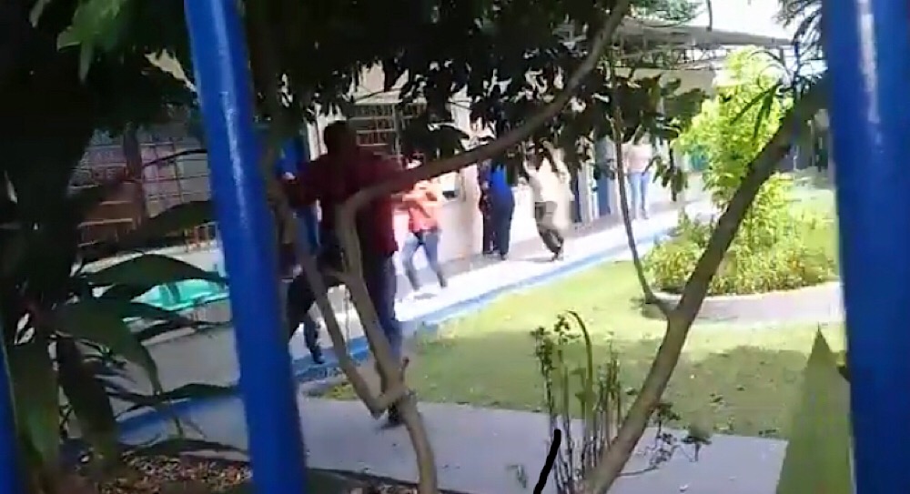 Pai Pai