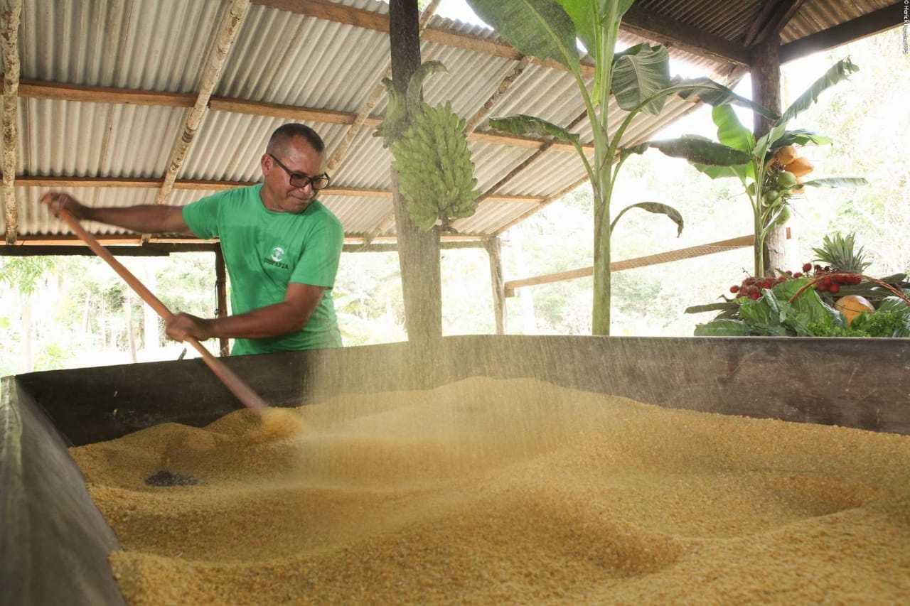 AM vai atingir meta de ter 30% da merenda escolar fornecida pela agricultura familiar