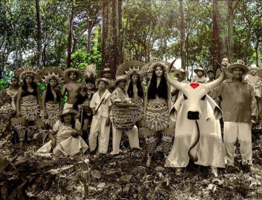 Garantido vai de 'Nós, o povo da floresta' como tema para o Festival de Parintins 2020 Garantido vai de 'Nós, o povo da floresta' como tema para o Festival de Parintins 2020