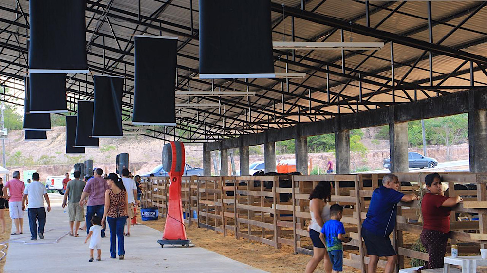 Feira Feira