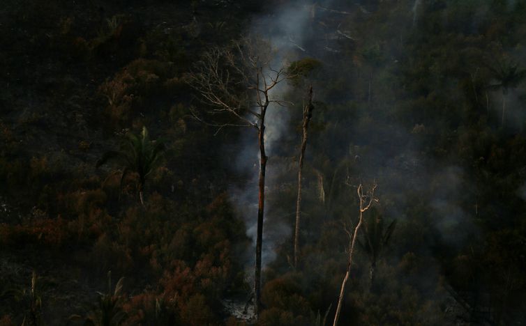 Operação Verde Brasil: multas na Amazônia somam R$ 36 milhões Operação Verde Brasil: multas na Amazônia somam R$ 36 milhões