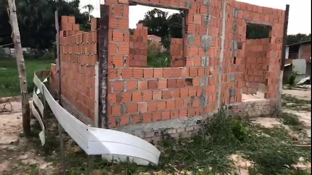 Cadela Cadela