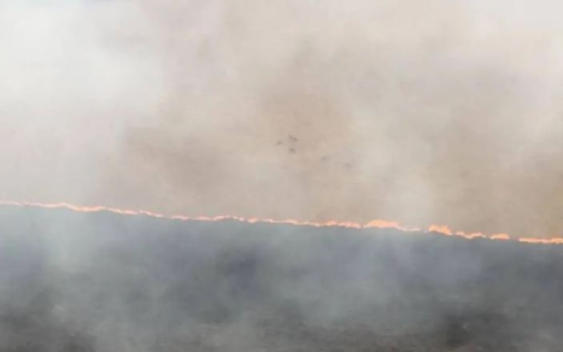 Inc&ecirc;ndio na Chapada dos Veadeiros amea&ccedil;a territ&oacute;rio quilombola