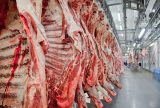 Carne frigorífico