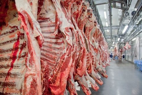 Carne frigorífico