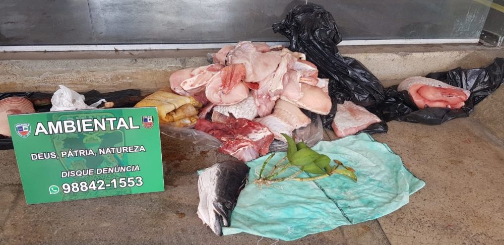Mais de 400kg de carne de caça foram apreendidos pelo Batalhão Ambiental em 2019 Mais de 400kg de carne de caça foram apreendidos pelo Batalhão Ambiental em 2019