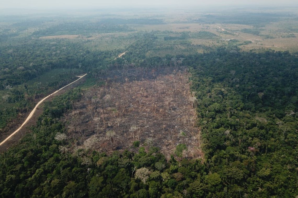 Operação aplicou quase R$ 100 milhões em multas na Amazônia Operação aplicou quase R$ 100 milhões em multas na Amazônia