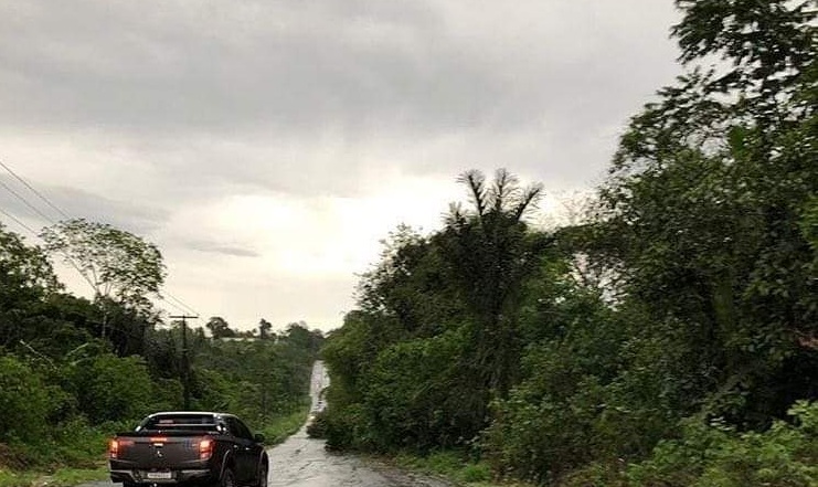 Quedas de &aacute;rvores s&atilde;o as mais registradas durante forte chuva por Defesa Civil e bombeiros