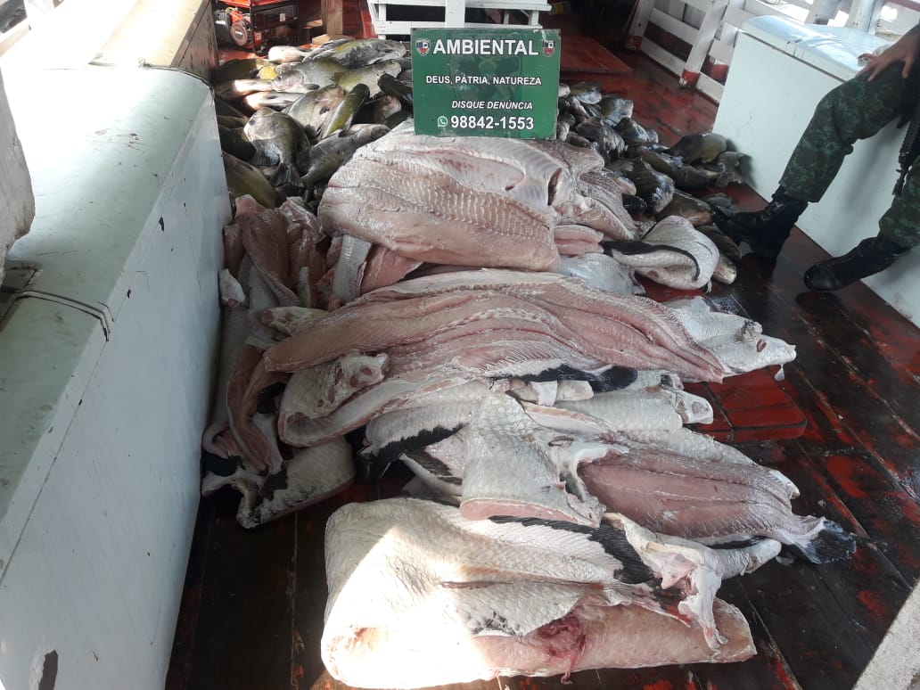 Em 48h, PM apreende quase 5t de pescado ilegal na capital e interior Em 48h, PM apreende quase 5t de pescado ilegal na capital e interior