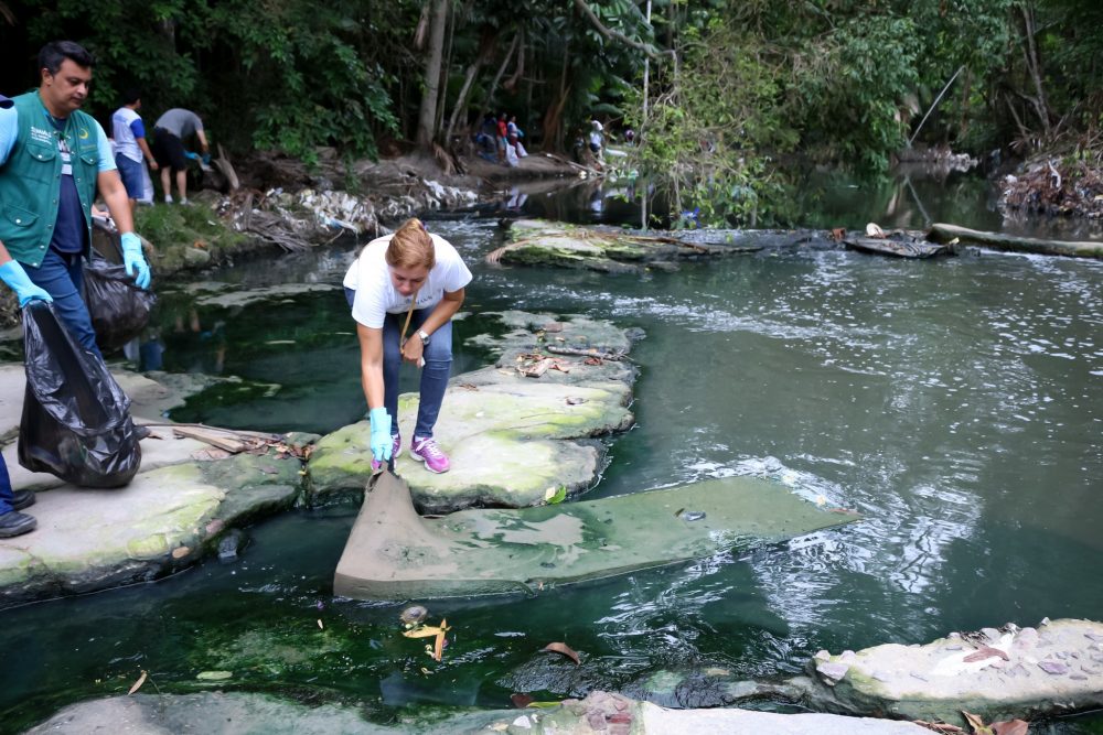 ‘Dia D’ será de retirada de resíduos nas margens do igarapé no parque do Mindu ‘Dia D’ será de retirada de resíduos nas margens do igarapé no parque do Mindu