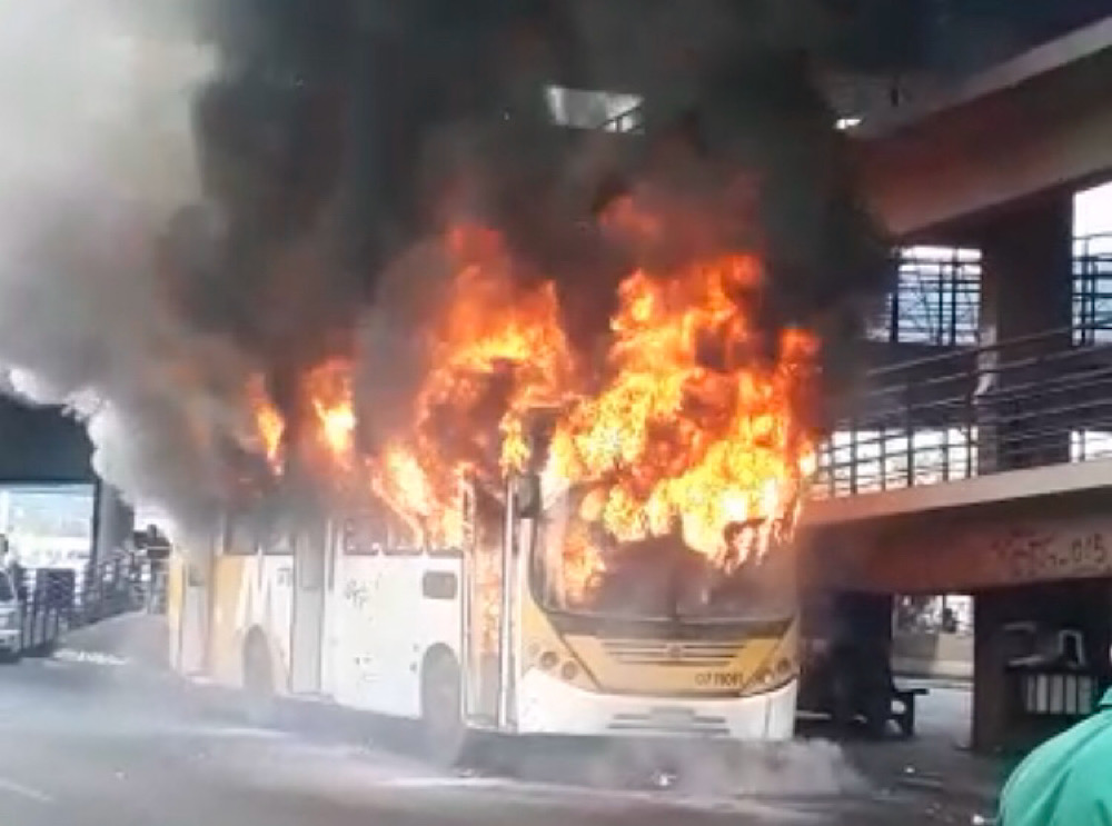 Ônibus Ônibus