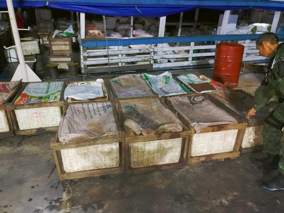 1,5 tonelada de pescado &eacute; apreendido no Centro no in&iacute;cio do defeso