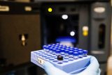 Estudo com teste de DNA para detecção de HPV tem resultado promissor