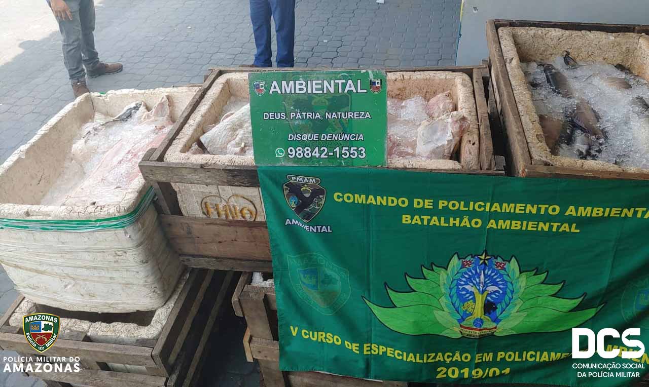 1 tonelada de pescado ilegal &eacute; apreendida na Feira da Panair