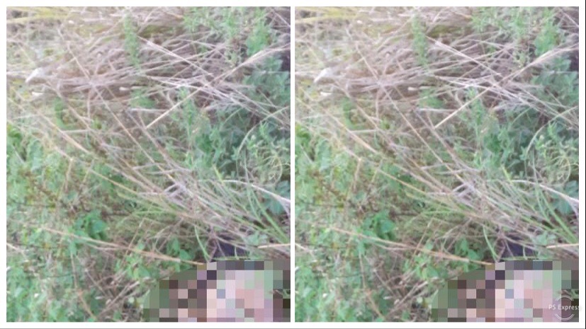 Corpo com vísceras expostas é encontrado na avenida Oitis Corpo com vísceras expostas é encontrado na avenida Oitis