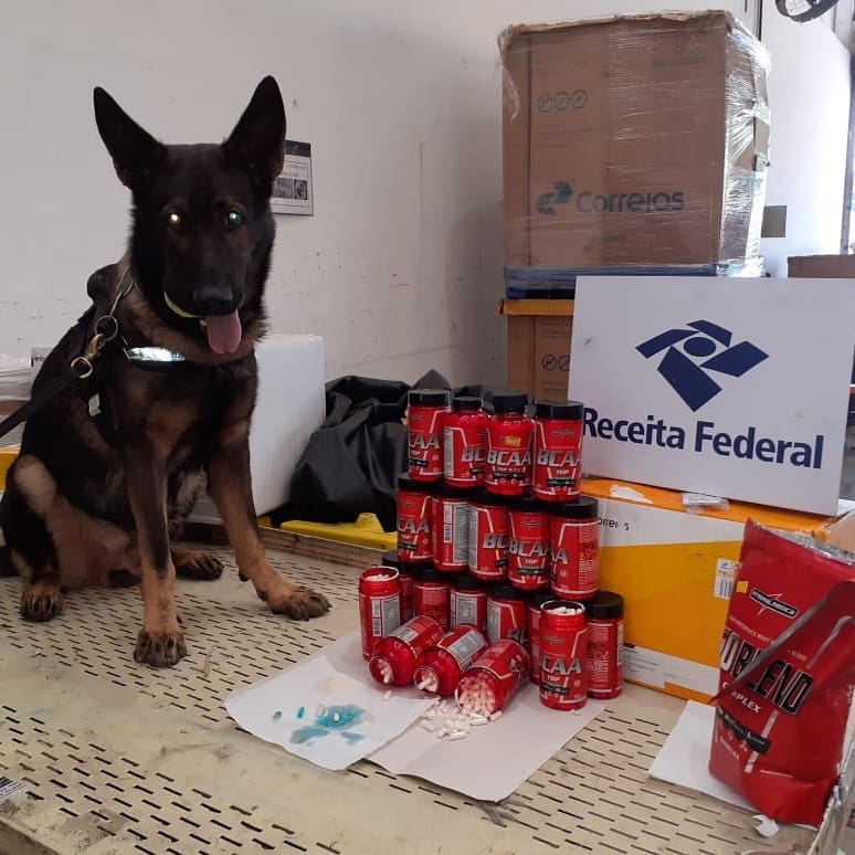 CORREIOS Odin encontra 3,2kg de cloridrato de cocaína avaliado em R$ 300 mil CORREIOS Odin encontra 3,2kg de cloridrato de cocaína avaliado em R$ 300 mil