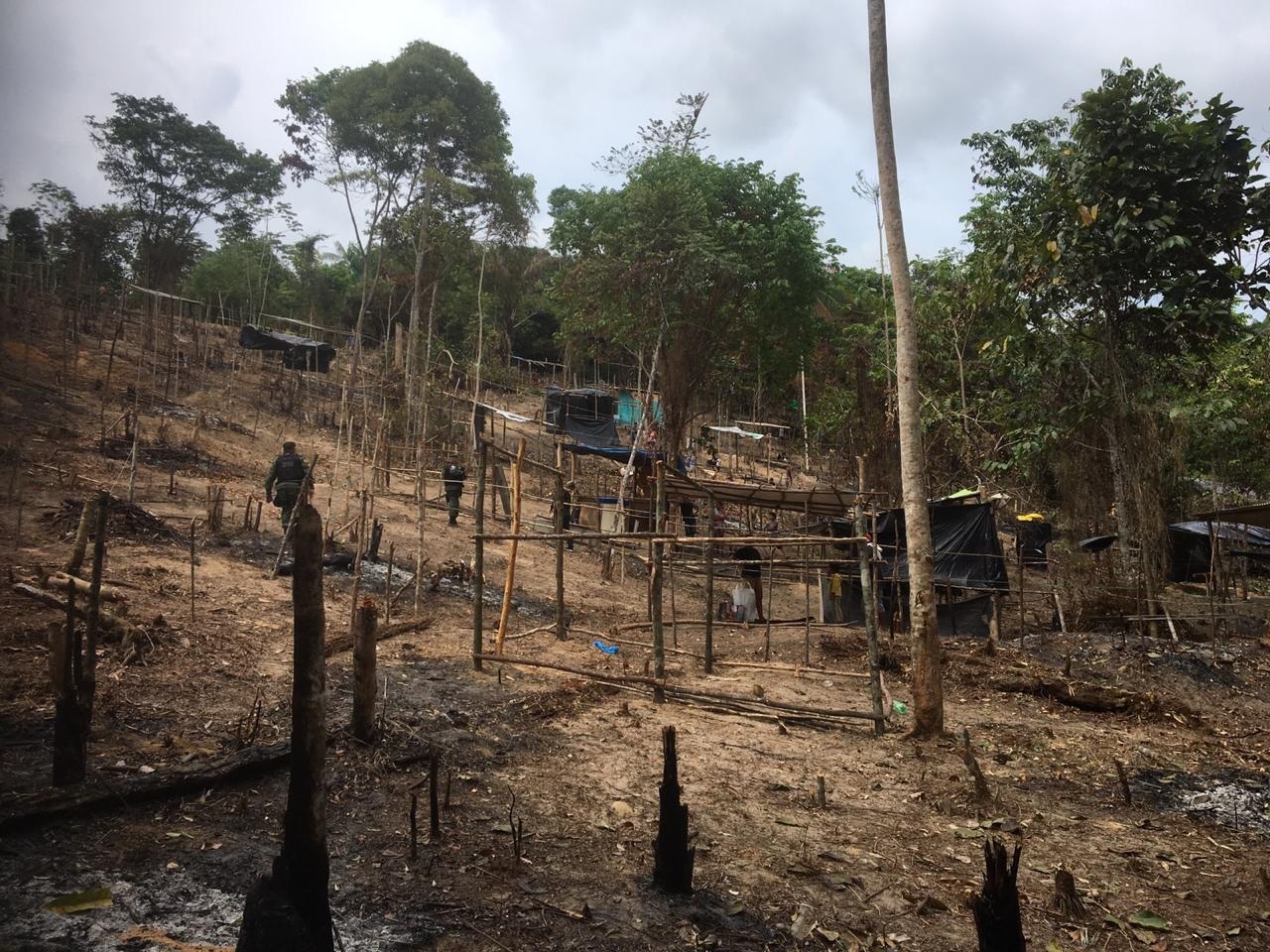 Quatro s&atilde;o presos em flagrante desmatando em invas&atilde;o na zona Norte
