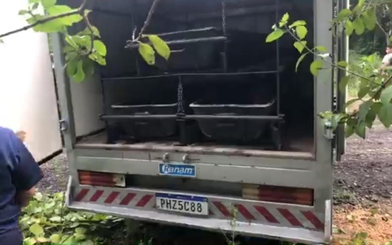 Corpo em decomposição é encontrado em matagal no Tarumã Corpo em decomposição é encontrado em matagal no Tarumã