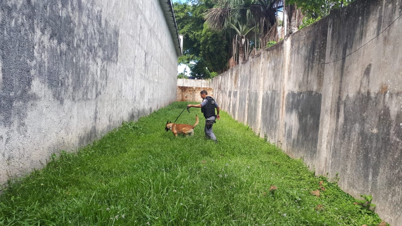 Cão Aquiles encontra droga na área externa de unidade prisional de Tabatinga Cão Aquiles encontra droga na área externa de unidade prisional de Tabatinga