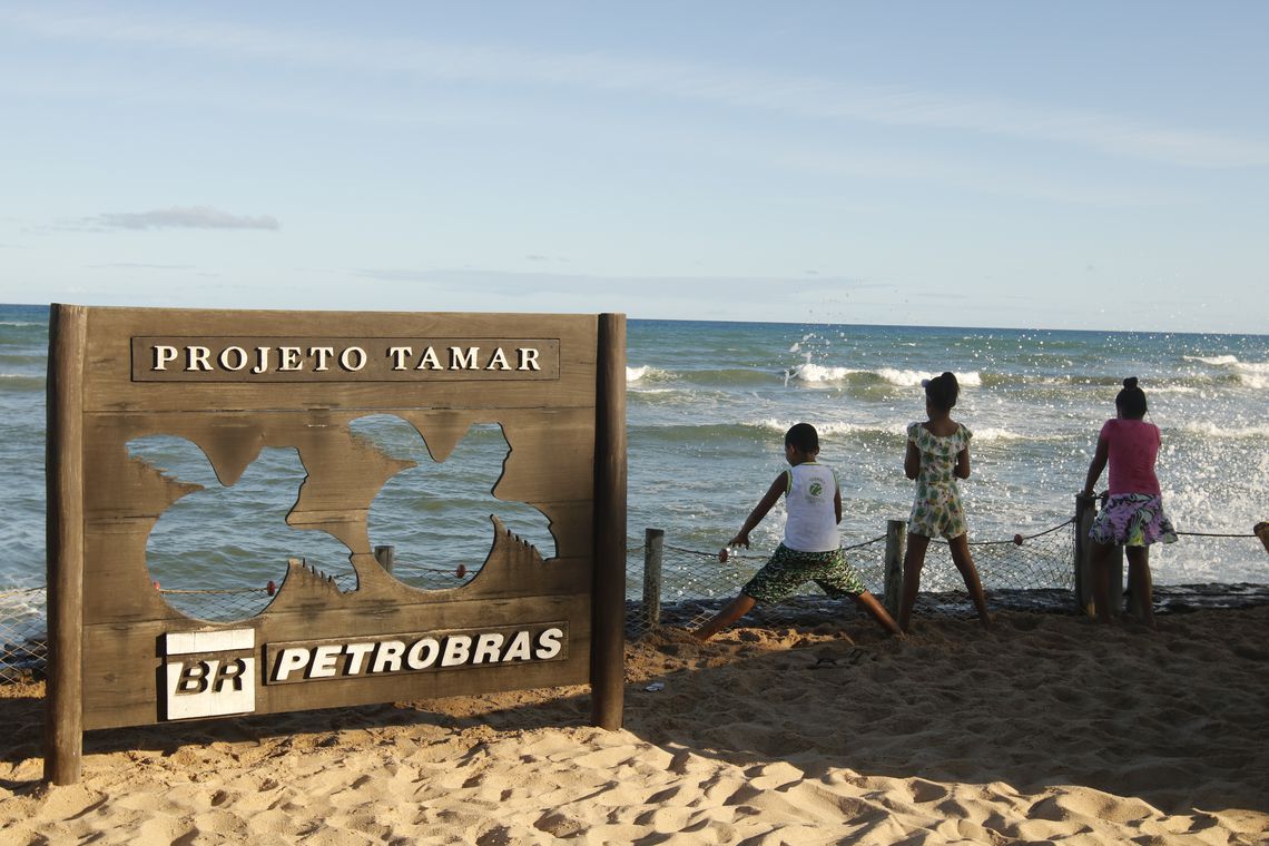 Tamar comemora 40 anos com 40 milhões de tartarugas soltas Tamar comemora 40 anos com 40 milhões de tartarugas soltas