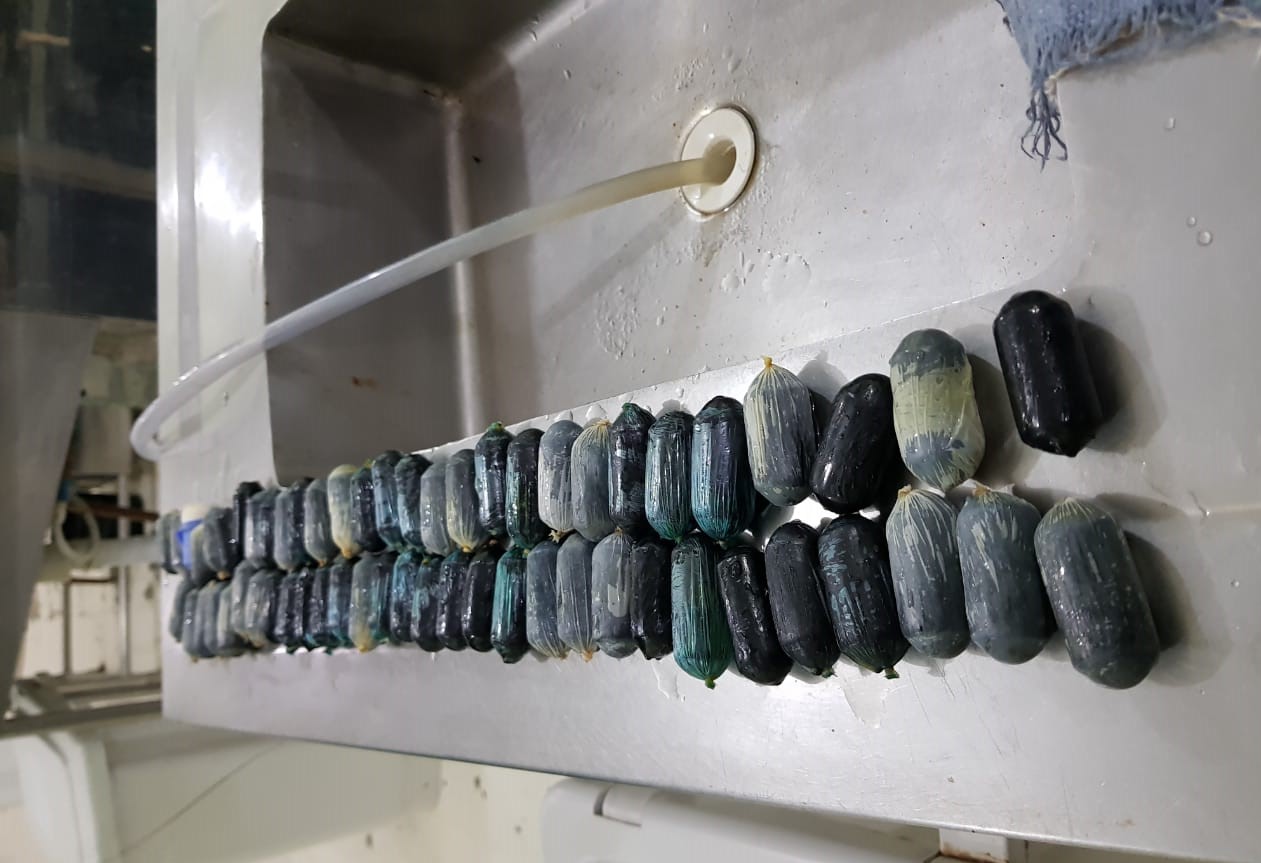 IML encontra 60 c&aacute;psulas de coca&iacute;na em cad&aacute;ver de venezuelana