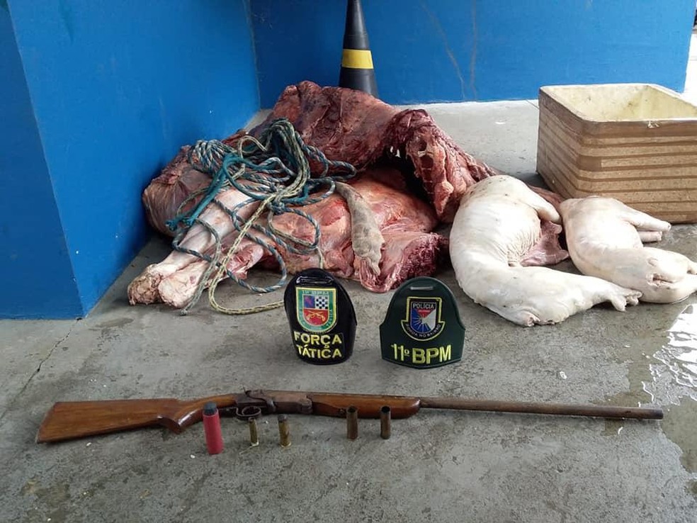 'CEIA ILEGAL' Quarteto &eacute; preso com pe&ccedil;as clandestinas de carne em Parintins