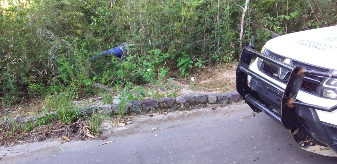 Cadáver em decomposição é encontrado na beira de estrada no Tarumã Cadáver em decomposição é encontrado na beira de estrada no Tarumã