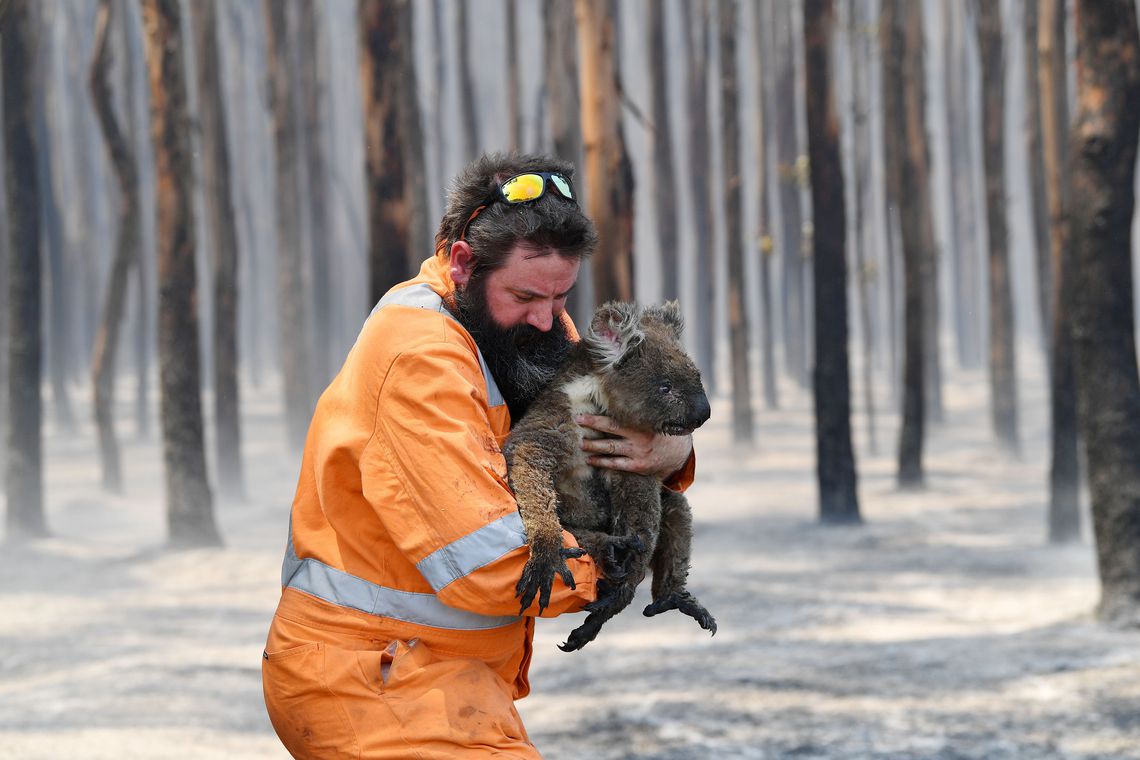 Inc&ecirc;ndio na Austr&aacute;lia destruiu 1/3 da Ilha Kangaroo, mostra Nasa