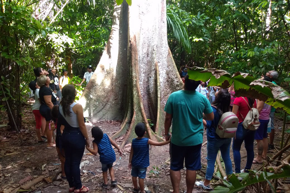 Parque Estadual Sumaúma Parque Estadual Sumaúma